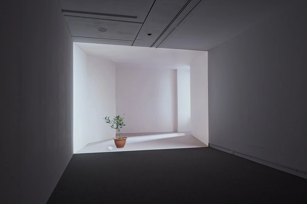 《日光下的靜物》，2005，錄影裝置，彩色無聲，4分36秒loop；於「空間行板：2017館藏作品選」展場。©劉信佑攝影-圖片